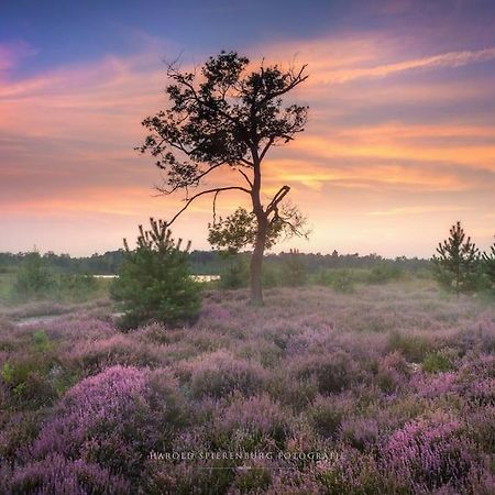 Natuurhuisje Oisterwijk Villa Exterior foto