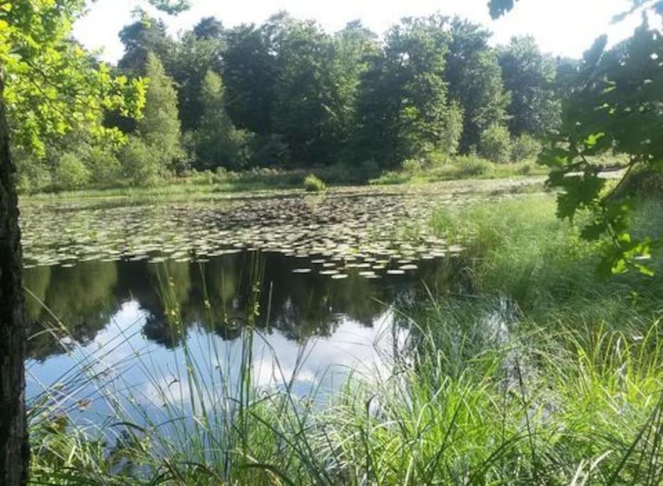 Natuurhuisje Oisterwijk Villa Exterior foto