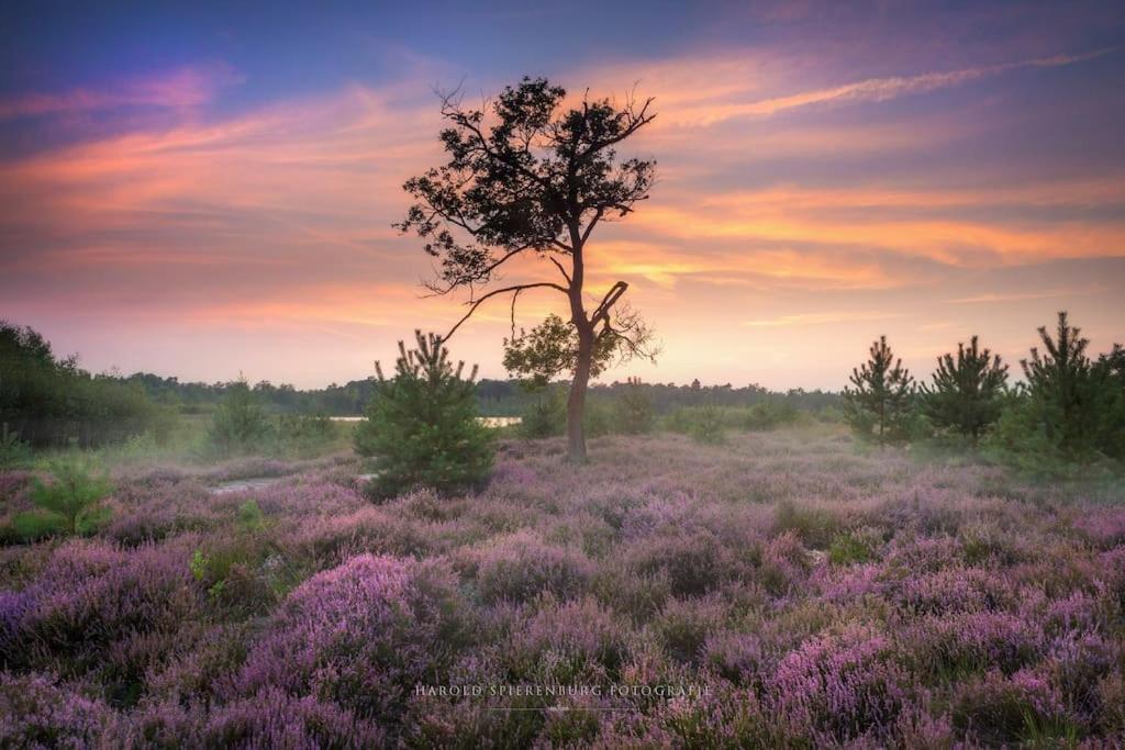 Natuurhuisje Oisterwijk Villa Exterior foto