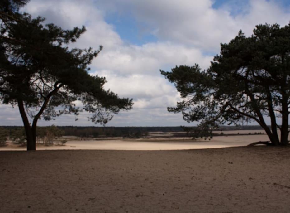 Natuurhuisje Oisterwijk Villa Exterior foto